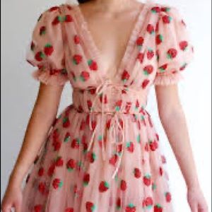 Brand new lyrica matoshi strawberry dress!!!